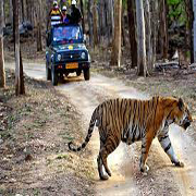 Pench National Park – Bhakti Tour Travel Indore